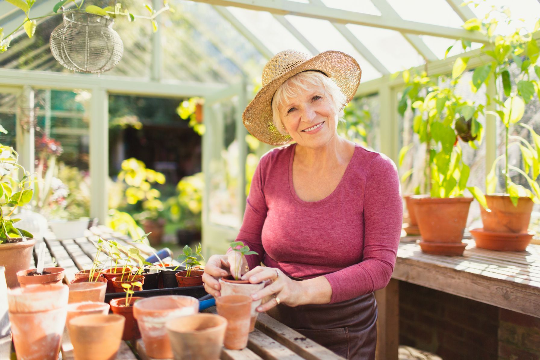 Smiling senior woman potting plants in a greenhouse.
